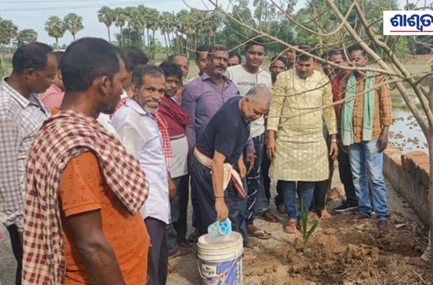  ‘Seva Paksha’ Observed for 15 Days from September 17 to October 2 on the Occasion of Prime Minister Narendra Modi’s 72nd Birthday