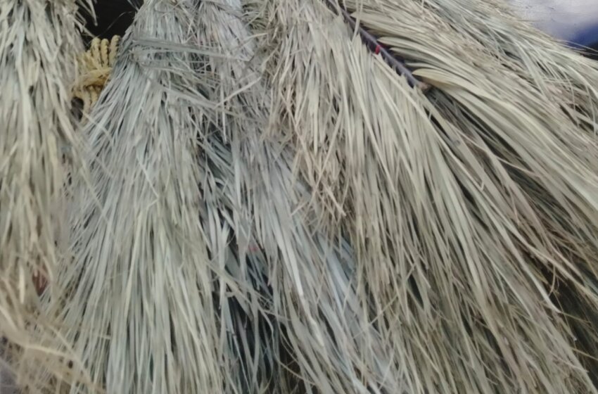  ଆଜି ଧନତରାସ ଧନ ର ଦେବୀଙ୍କୁ ସନ୍ତୁଷ୍ଟି କରିବାକୁ ପ୍ରୟାସ